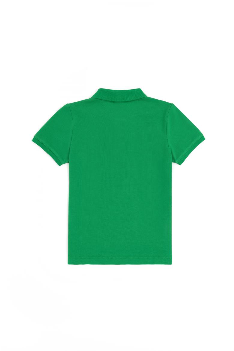 تیشرت پسرانه اورجینال برند پلو U.S.POLO ASSN مدل BASIC رنگ سبز پرطرفدار . بسیار شیک و با کیفیت 3 تا 14 سال و کد ۲۳۲