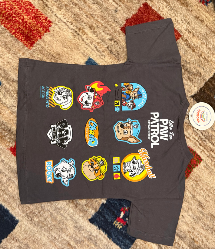 تیشرت و شلوار ترک -کیفیت عالی و نرم و لطیف -طرح paw patrol-سگهای نگهبان-سایزبندی از ۲تا۸سال و کد ۲۴۴۳